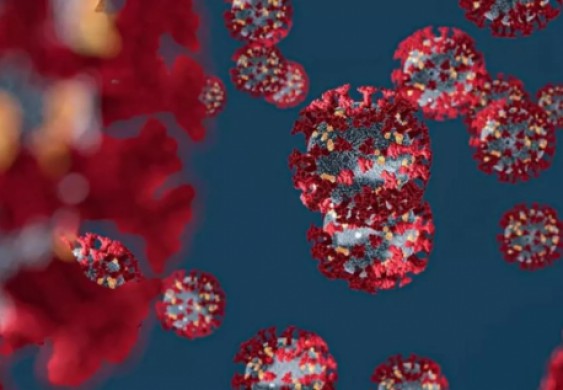 هل يؤثر ارتفاع الحرارة على كورونا؟ الصحة العالمية تحسم الجدل - صحيفة البيان