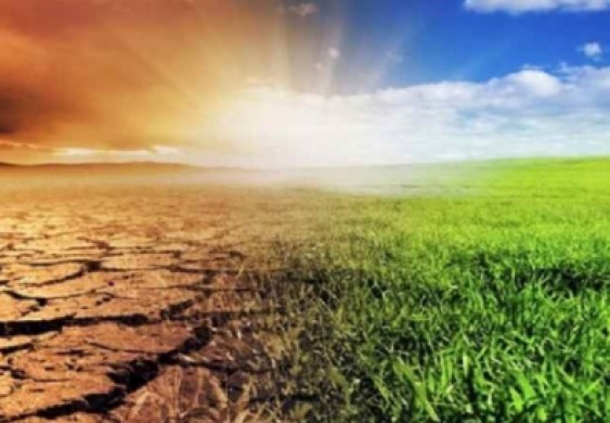 ما حقيقة تأخر فصل الصيف في العالم؟.. الأرصاد الجوية توضح - جريدة الوطن المصرية