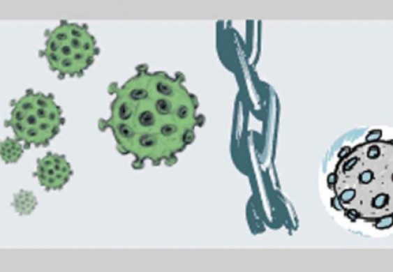 انفوغرافيك.. كسر سلسلة العدوى بـ «كورونا» - محليات