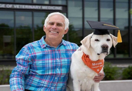 جامعة أمريكية تمنح كلباً دكتوراه في الطب !