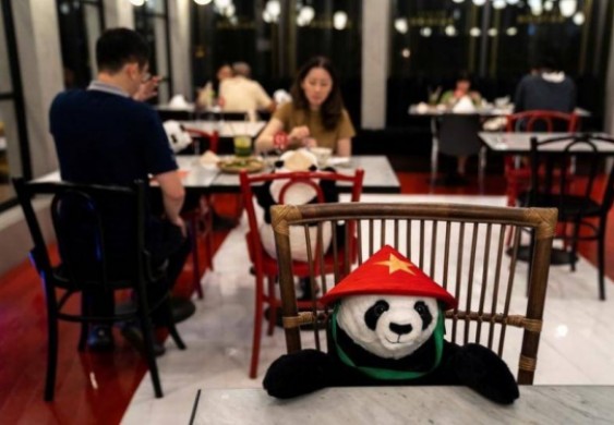 دمية تقتل الوحدة في مطاعم تايلاند