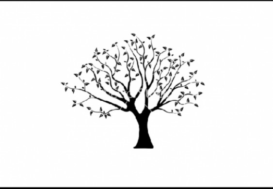 رجل أعمال يشتري شجرة نادرة بمليون دولار