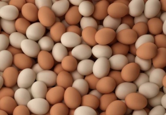 "بيض" معدل وراثيًا يعالج السرطان والتهاب المفاصل