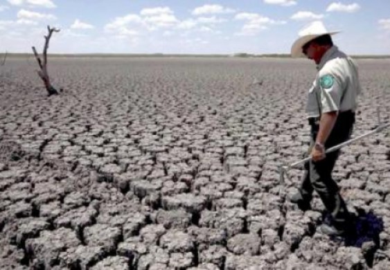 شاشة الناقد: Planet of the Humans