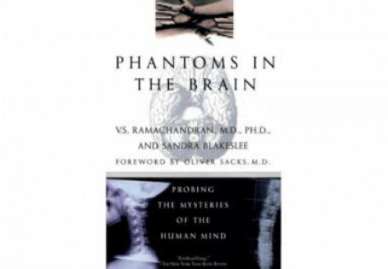 أسرار العقل البشري وحقيقة الصورة الذهنية للجسم