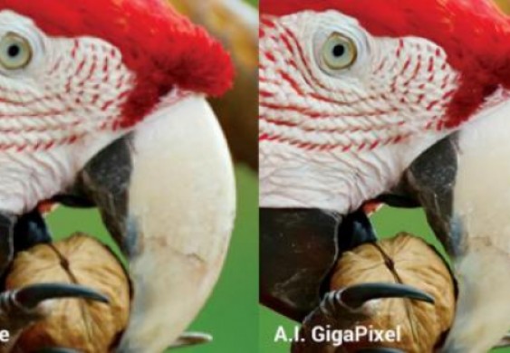 مواقع وخدمات وبرامج ترفع دقة الصور