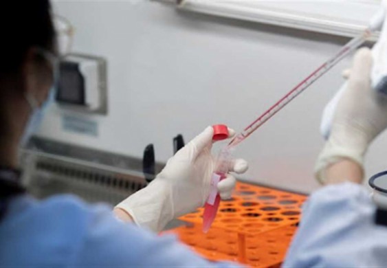 دراسة تجيب: هل يساعد علاج الملاريا في القضاء على «كورونا»؟