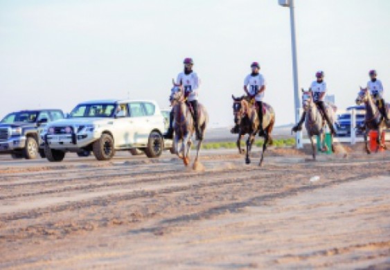 كأس الفهيدي للقدرة في سيح السلم تنطلق اليوم