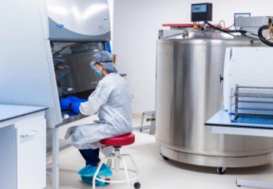 العالم يحتفي بعطاء الإمارات وإنجازها الإيجابي