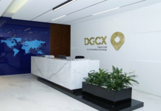 547 % نمو تداولات عقود الذهب