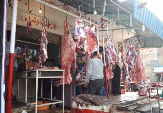 جامعة قناة السويس تطلق مبادرة لبيع «اللحوم الأورجانك»: «الكيلو بـ100 جنيه»