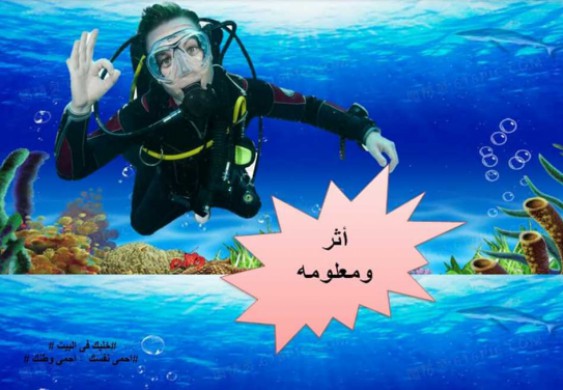 بـ3 لغات.. «الآثار الغارقة» تطلق «أثر ومعلومة» لمواجهة حظر كورونا