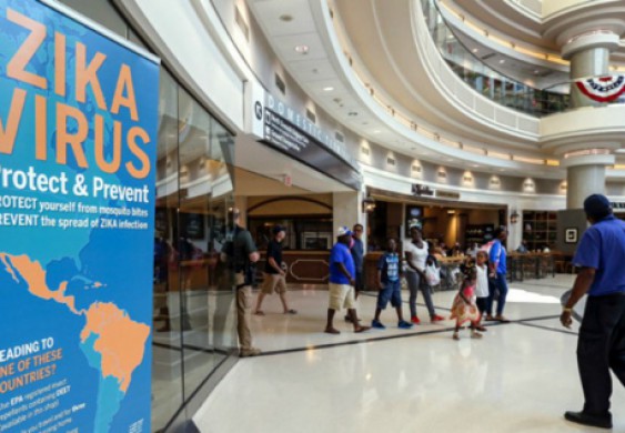 ولادات جديدة متأثرة بفيروس زيكا في الولايات المتحدة