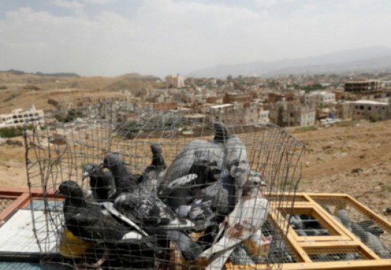 آفاق السلام في اليمن: شبح الإخفاق وشحُّ البدائل