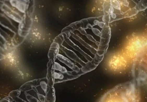 دراسة أمريكية حديثة تؤكد ضعف واختفاء فيروس كورونا قريبا - Sada El-Bald صدى البلد