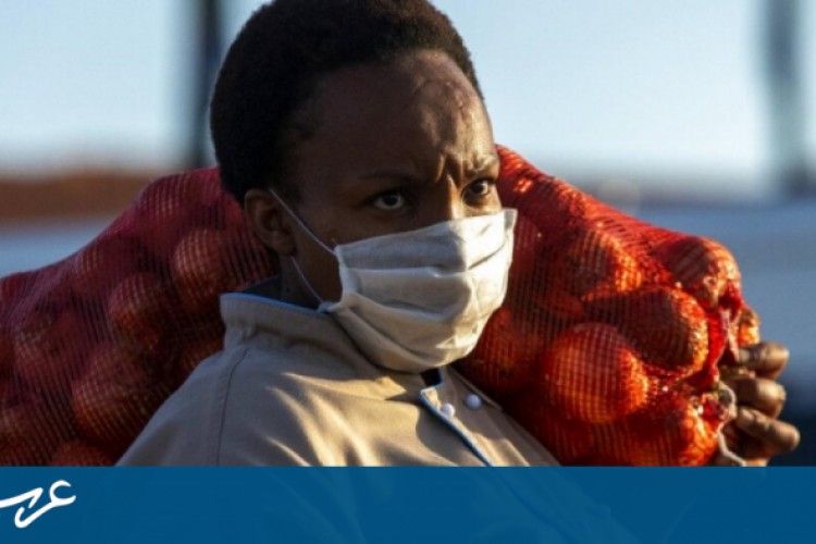 43 مليون إفريقي يواجهون خطر انعدام الأمن الغذائي - عرب 48