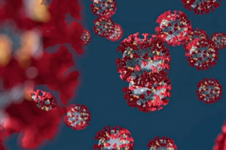 هل يؤثر ارتفاع الحرارة على كورونا؟ الصحة العالمية تحسم الجدل - صحيفة البيان