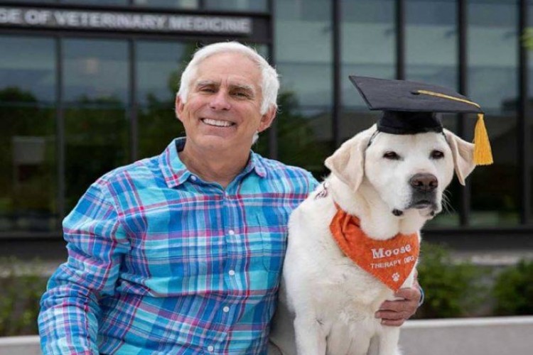 جامعة أمريكية تمنح كلباً دكتوراه في الطب !