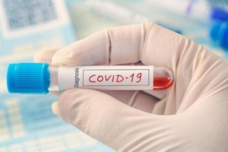 لقاح أمريكي يقضي على كورونا في أربعة أيام