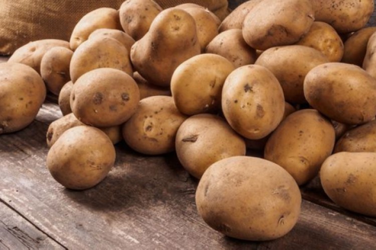 تحذير.. "البطاطس" قد تختفي من الأسواق
