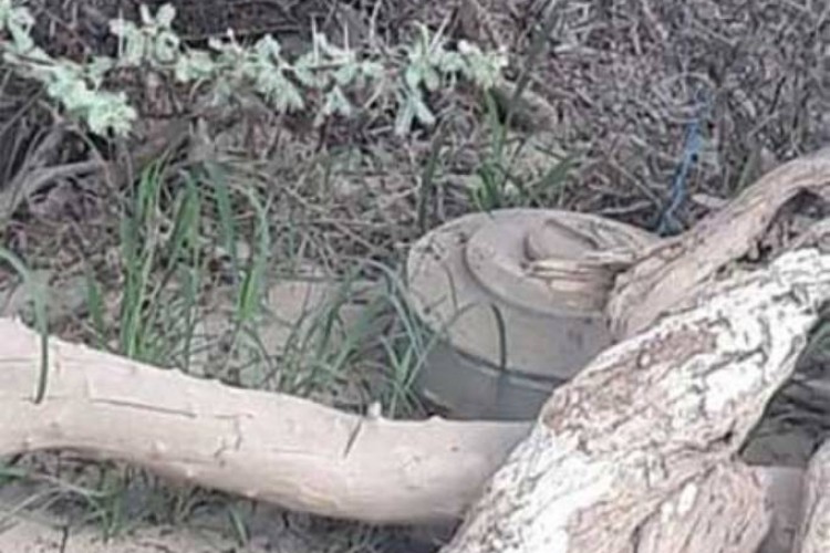 إبطال مفعول لغمٍ أرضي بأحد أودية جازان جرفته السيول المنقولة من الأراضي اليمنية