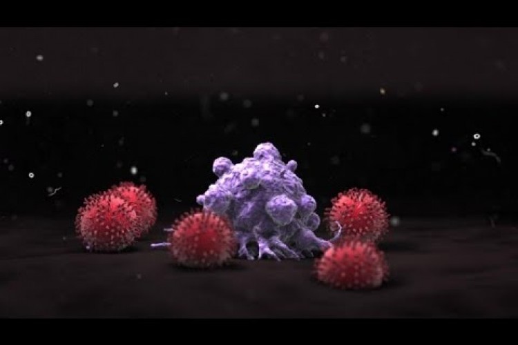 العلاج المناعي يفتح آفاقا جديدة للشفاء من الأمراض السرطانية