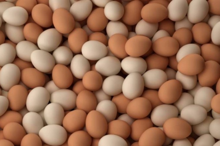 "بيض" معدل وراثيًا يعالج السرطان والتهاب المفاصل