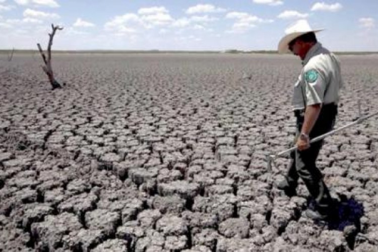 شاشة الناقد:  Planet of the Humans