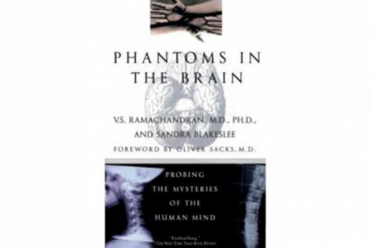 أسرار العقل البشري وحقيقة الصورة الذهنية للجسم