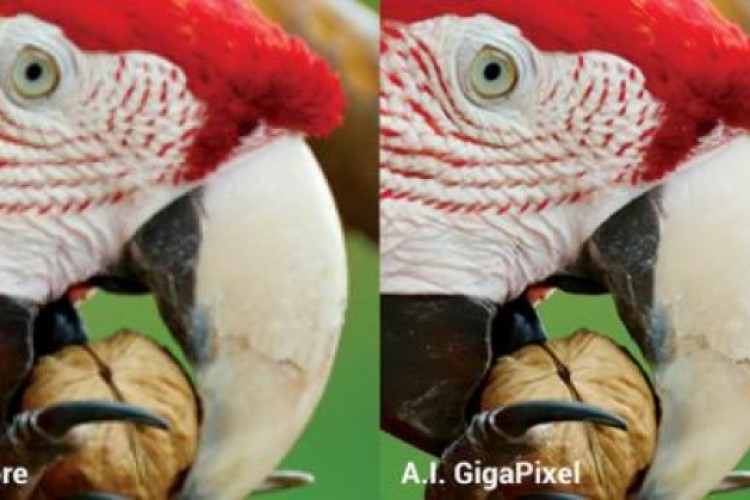 مواقع وخدمات وبرامج ترفع دقة الصور