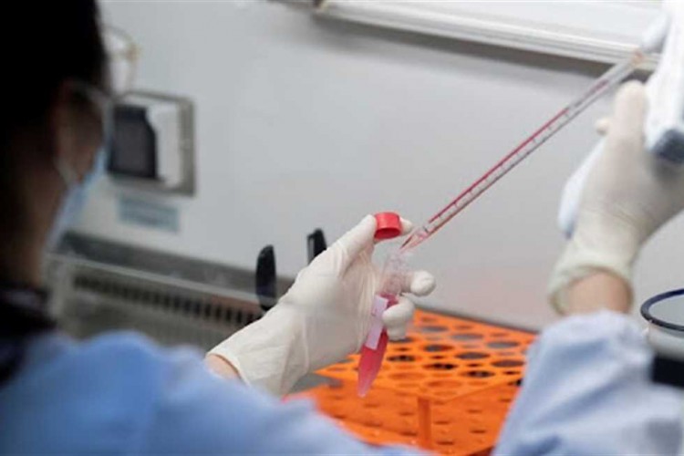 دراسة تجيب: هل يساعد علاج الملاريا في القضاء على «كورونا»؟