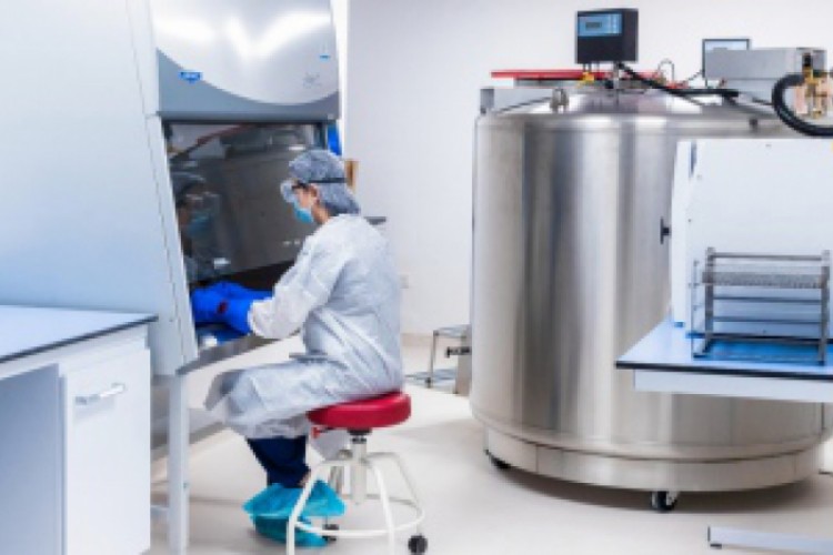 العالم يحتفي بعطاء الإمارات وإنجازها الإيجابي