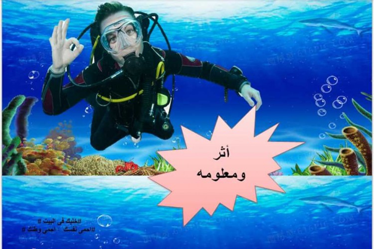 بـ3 لغات.. «الآثار الغارقة» تطلق «أثر ومعلومة» لمواجهة حظر كورونا 