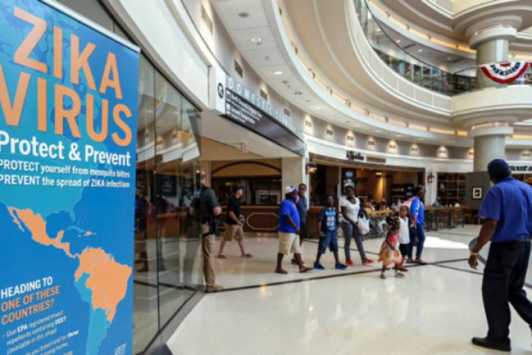 ولادات جديدة متأثرة بفيروس زيكا في الولايات المتحدة