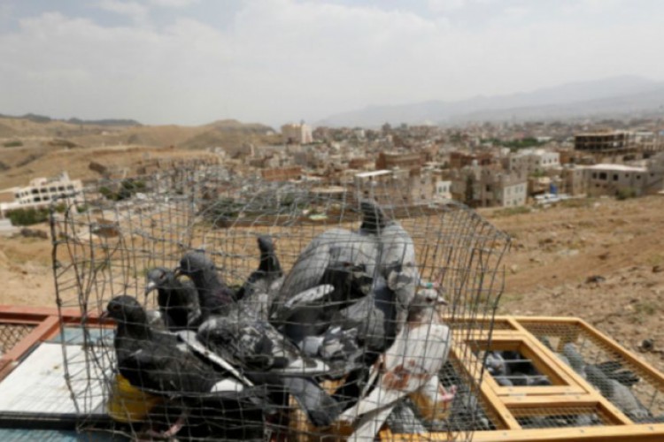 آفاق السلام في اليمن: شبح الإخفاق وشحُّ البدائل