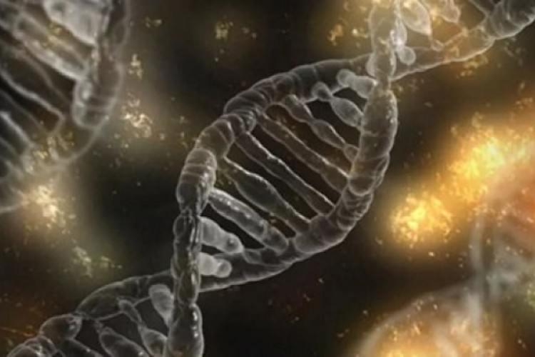 دراسة أمريكية حديثة تؤكد ضعف واختفاء فيروس كورونا قريبا - Sada El-Bald صدى البلد