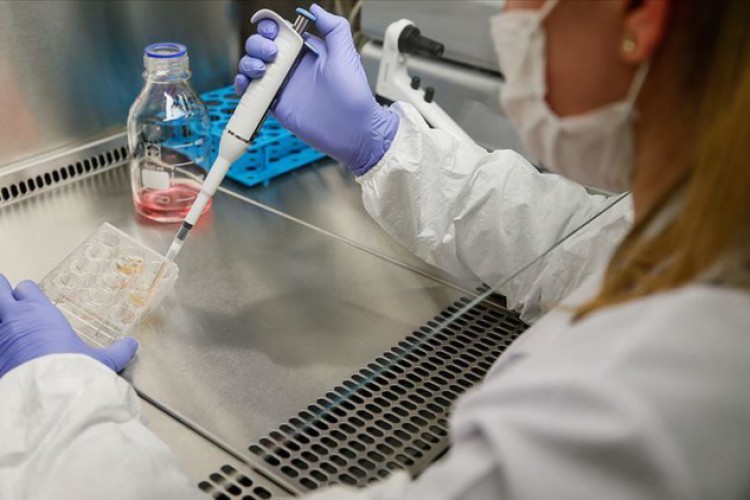 "TR-C 19".. دواء تركي ينتظر الترخيص لمعالجة مرضى كورونا - تركيا الان