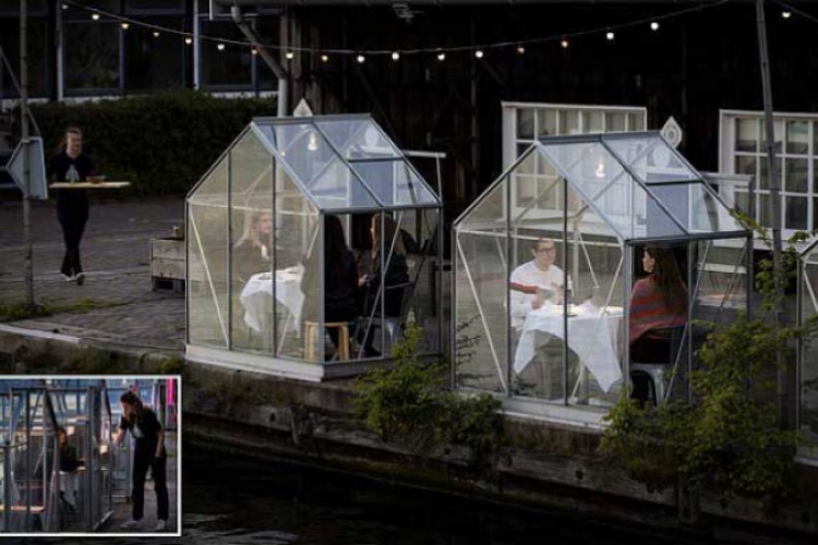 بالصور.. مطعم هولندي يتحدى كورونا ويستقبل زبائنه في بيوت زجاجية - فكر وفن
